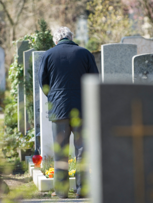 iStock_000003210044XSmall